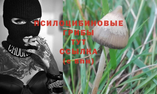 трава Гусиноозёрск