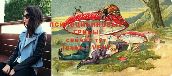 сатива Ельня