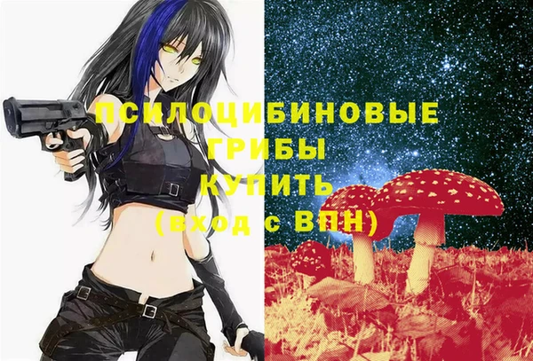 прущий лед Гусев
